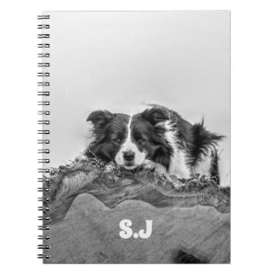 Cuaderno Color del borde