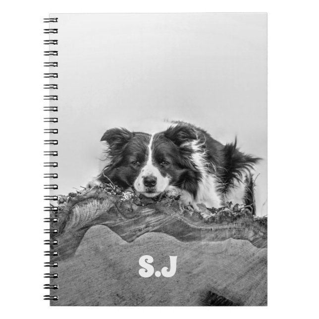 Cuaderno Color del borde (Frente)