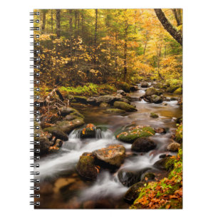 Cuaderno Color Otoñal Jefferson Brook Montañas Blancas