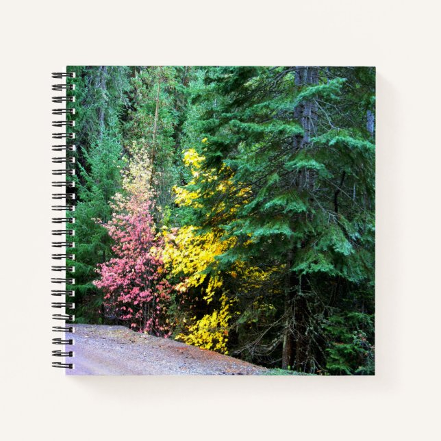 Cuaderno Colores caídos en las montañas...... (Anverso)
