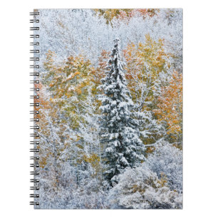 Cuaderno Colores de otoño de los álamos y nieve Keebler Pas