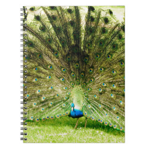 Cuaderno Colores de pantalla de pavo real