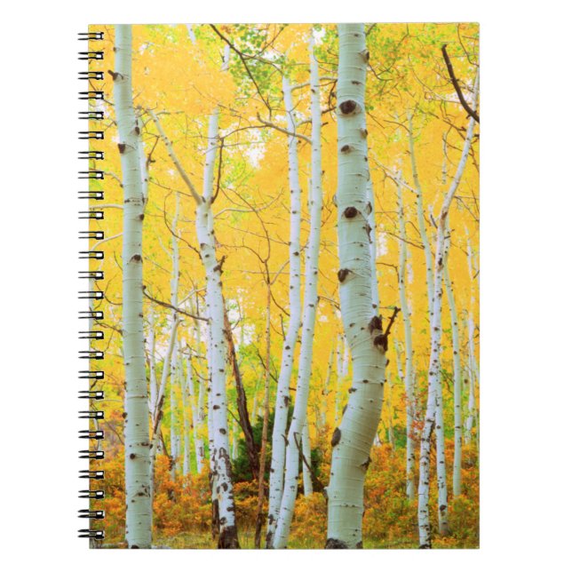 Cuaderno Colores otoñales 1 (Frente)