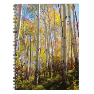 Cuaderno Colores otoñales 5