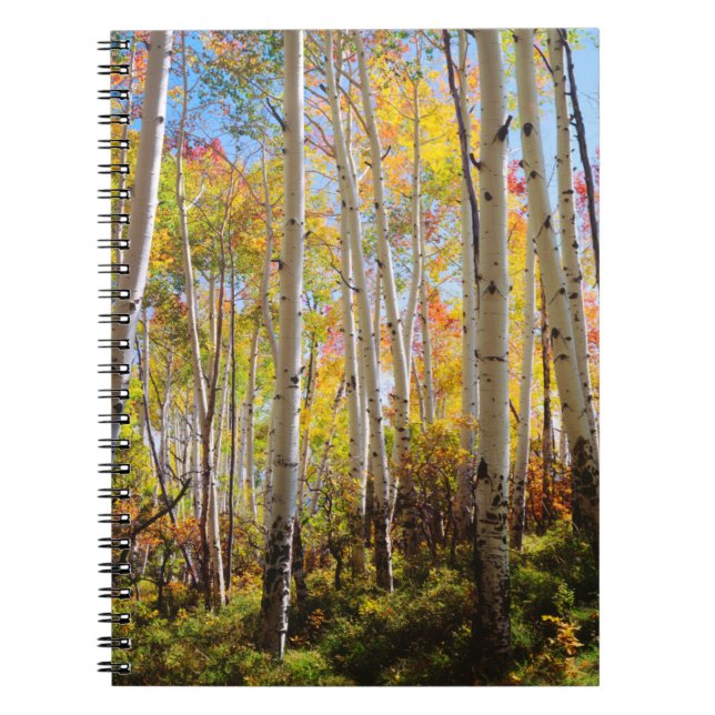 Cuaderno Colores otoñales 5 (Frente)