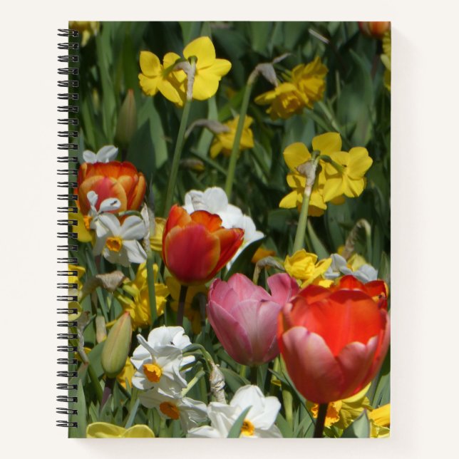 Cuaderno Colorful Tulips & Daffodils Notebook (Anverso)