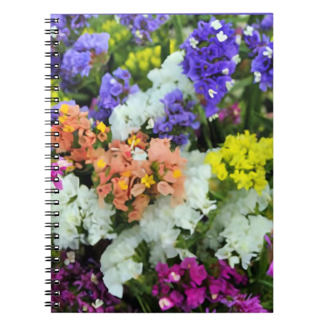 Cuaderno Colorida estadística (Frente)