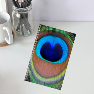 Cuaderno Colorida Feather Eyespot