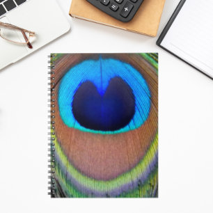 Cuaderno Colorida Feather Eyespot