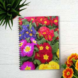 Cuaderno Colorida Medley de Primulas en primavera