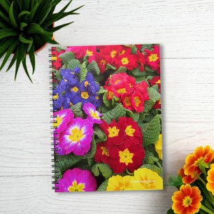 Cuaderno Colorida Medley de Primulas en primavera