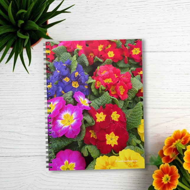 Cuaderno Colorida Medley de Primulas en primavera (Colorful Springtime Medley of Primulas Journal Cover Photo)