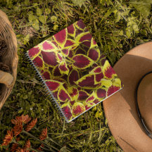 Colorida Planta Coleus deja un bloc de notas flora