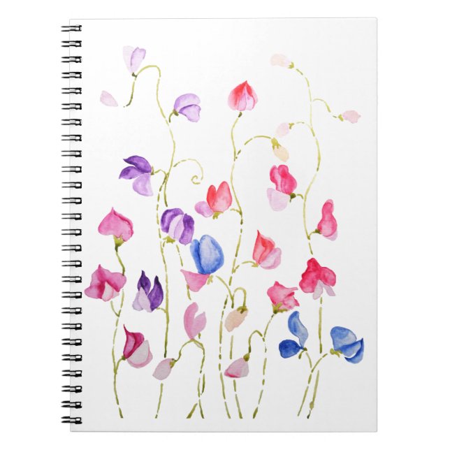 Cuaderno coloridas flores de guisantes dulces acuarela (Frente)