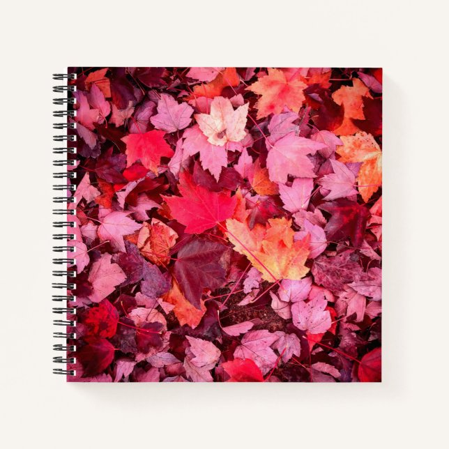 Cuaderno Coloridas hojas otoñales (Anverso)