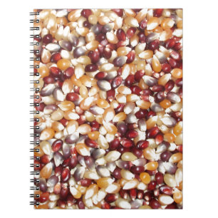 Cuaderno Coloridas Kernels de palomitas