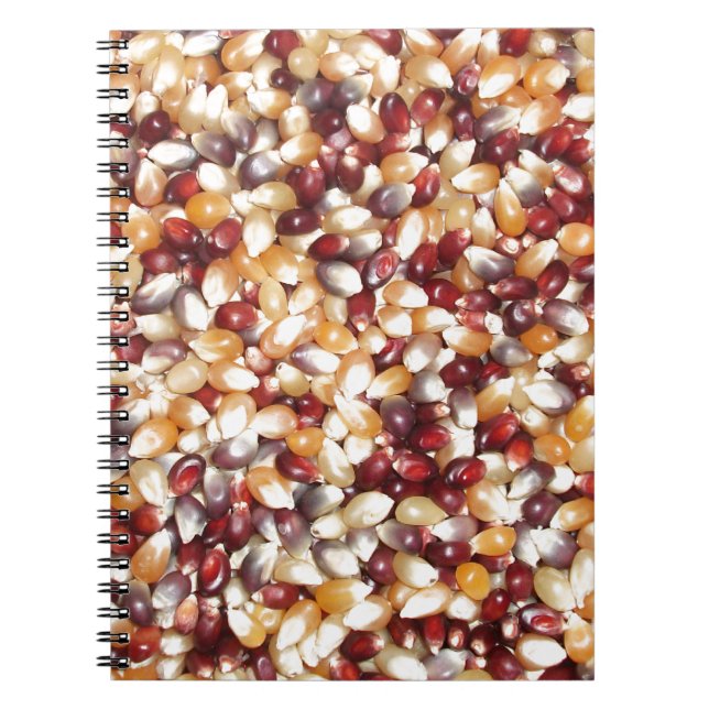 Cuaderno Coloridas Kernels de palomitas (Frente)