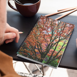 Cuaderno Colorido árbol de arce otoñal