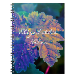 Cuaderno colorido de la hoja de la fotografía de