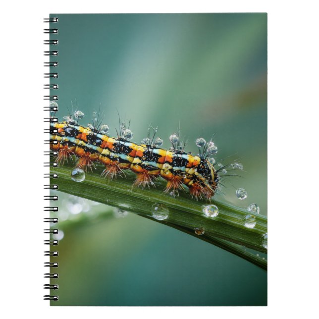 Cuaderno colorido para perros de oruga (Frente)