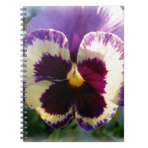 Cuaderno colorido resorte Pansy