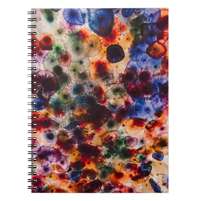 Cuaderno Coloridos Jellyfidshes (Frente)