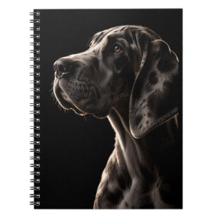 Cuaderno Coloso Gentil