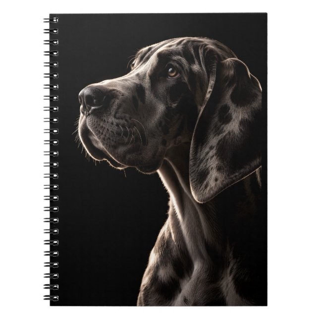 Cuaderno Coloso Gentil (Frente)