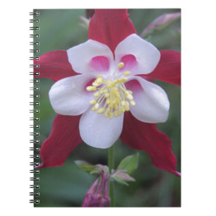 Cuaderno Columbina