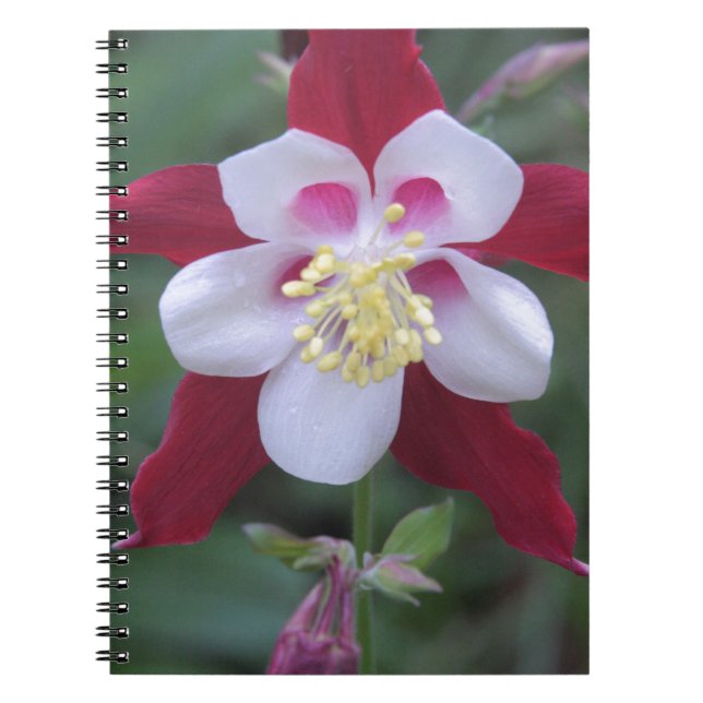 Cuaderno Columbina (Frente)