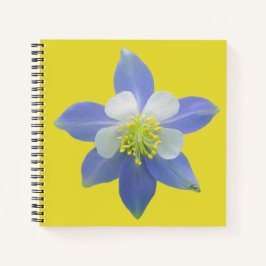 Cuaderno Columbina 2