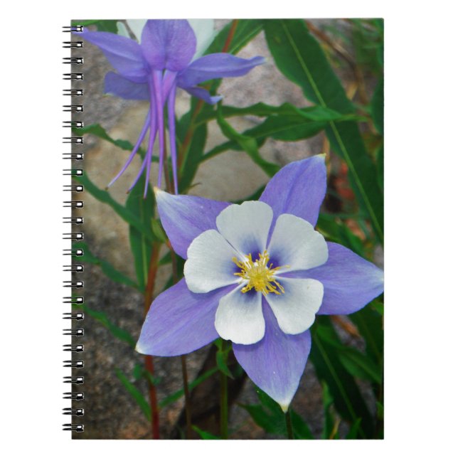 Cuaderno Columbina azul (Frente)