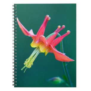 Cuaderno Columbina Roja