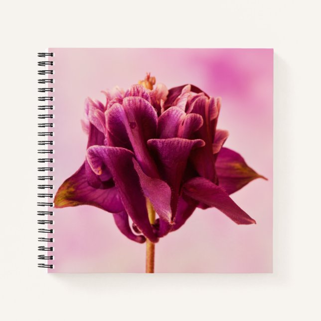 Cuaderno Columbina rosa de Borgoña (Anverso)