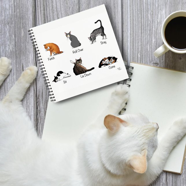 Cuaderno Comandos de Cat (Subido por el creador)
