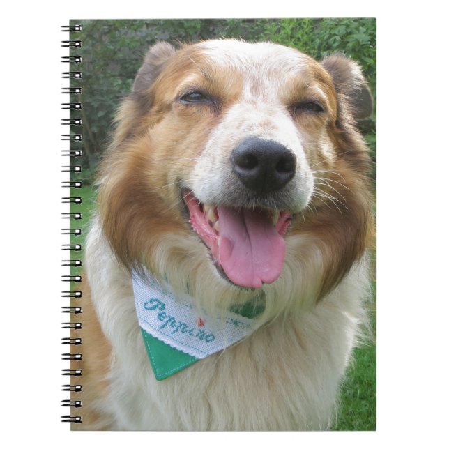 Cuaderno combinación de colores de borde (Frente)