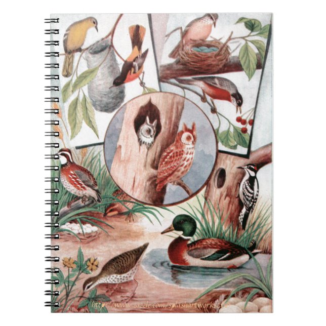 Cuaderno "Combo de aves" (Frente)