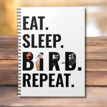Comer Sleep Bird Repetir Bird Watcher