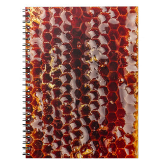 Cuaderno Comezón de miel de oro