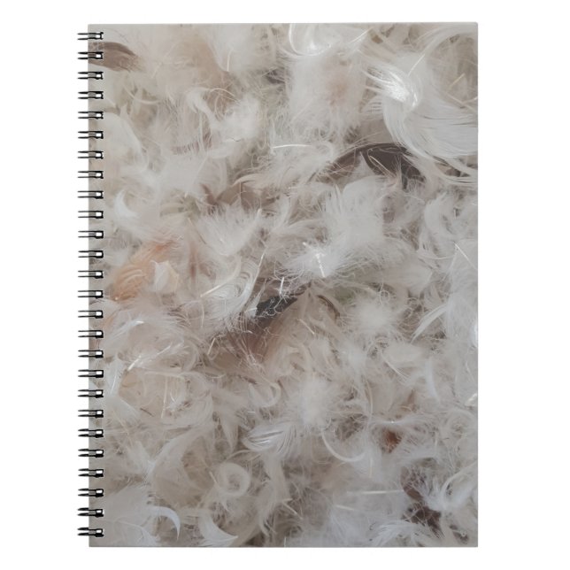 Cuaderno Comforter Feathers Fotografía divertida (Frente)