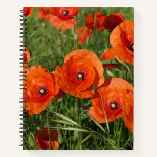 Cuaderno Common Poppies 