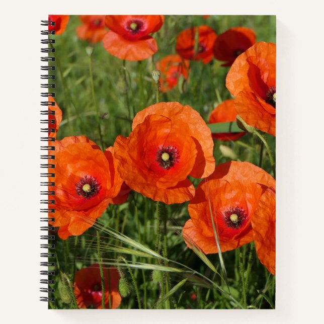 Cuaderno Common Poppies  (Anverso)