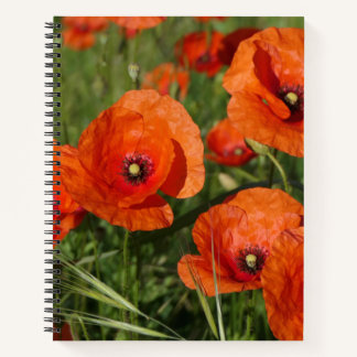 Cuaderno Common Poppies 