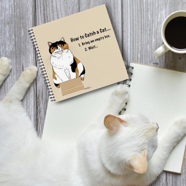 Cuaderno Cómo atrapar un gato (Subido por el creador)