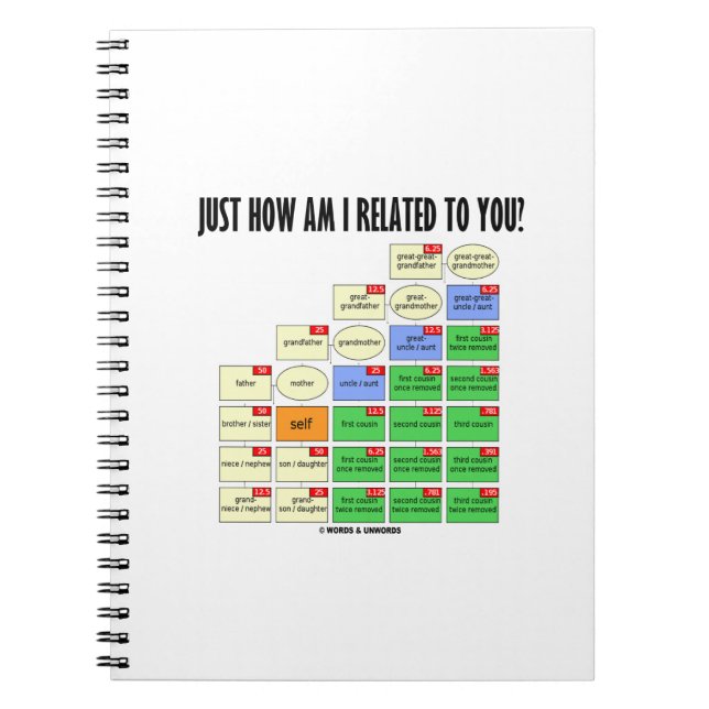 Cuaderno ¿Cómo Estoy Relacionado Contigo? Genealogía (Frente)