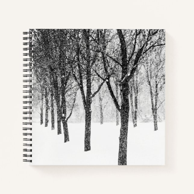 Cuaderno como si estuviera del lado de los árboles (Anverso)