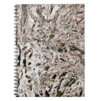 Cuaderno Composición de la raíz del árbol