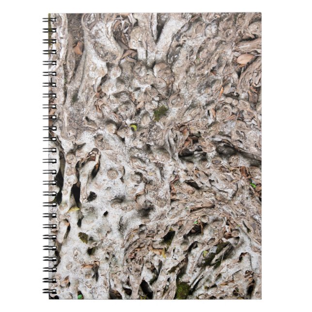 Cuaderno Composición de la raíz del árbol (Frente)