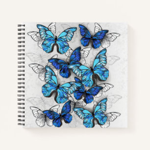 Cuaderno Composición de las mariposas blancas y azules