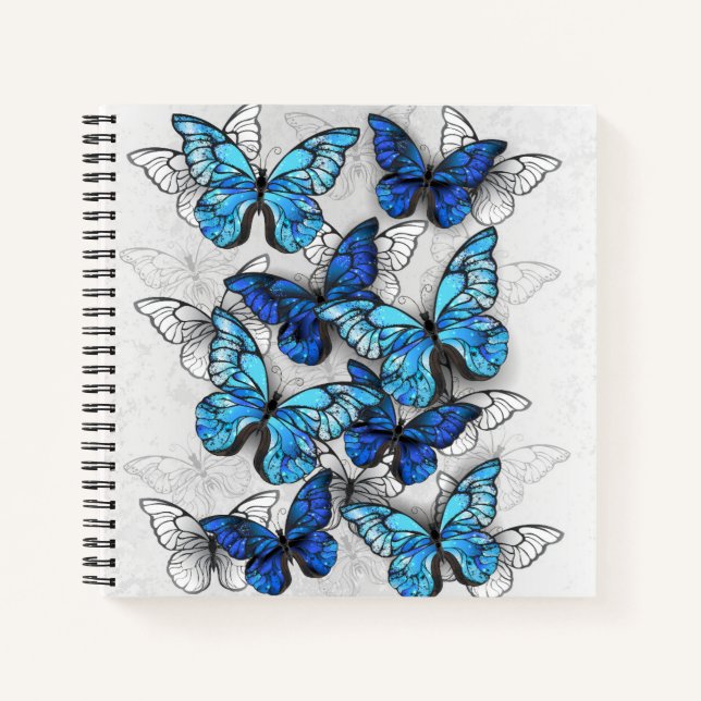 Cuaderno Composición de las mariposas blancas y azules (Anverso)